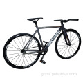 Fixed Gear Bike Factory Intro7 Classic 700C Fixed Gear Single Speed Bikes Supplier